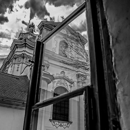 Penzion U Borovicku Литомержице Экстерьер фото