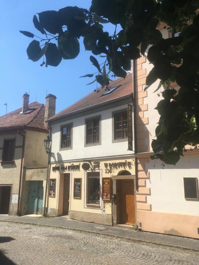 Penzion U Borovicku Литомержице Экстерьер фото