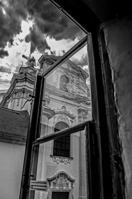 Penzion U Borovicku Литомержице Экстерьер фото