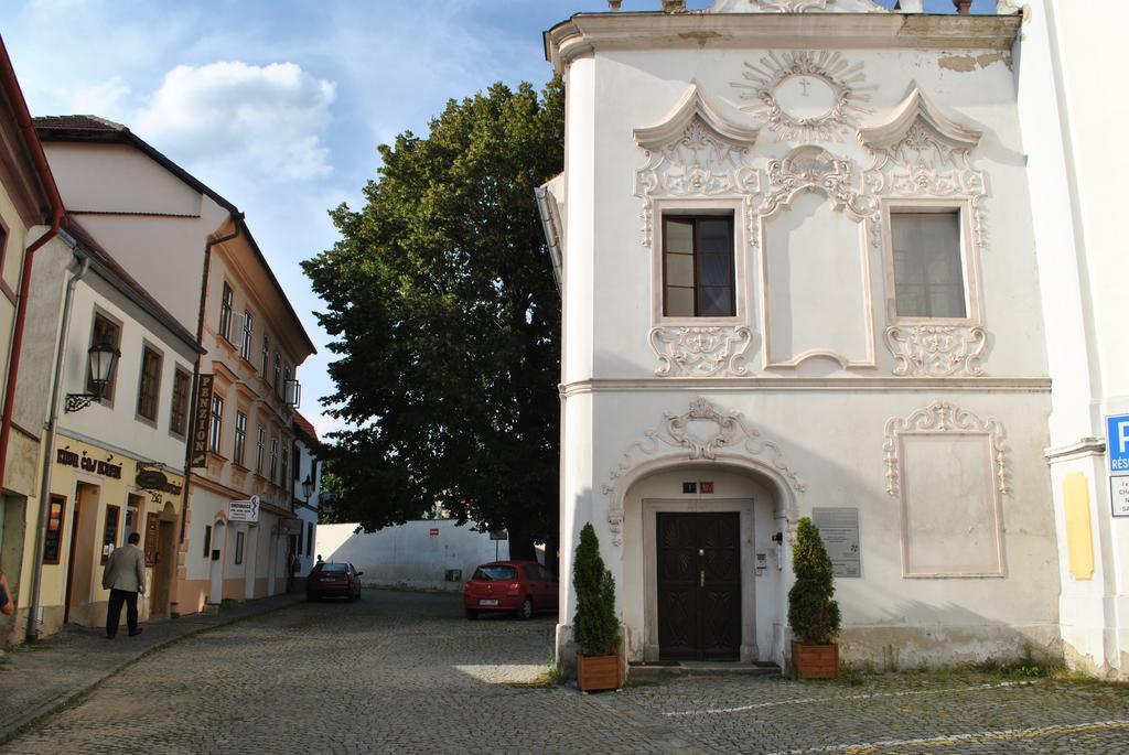 Penzion U Borovicku Литомержице Экстерьер фото