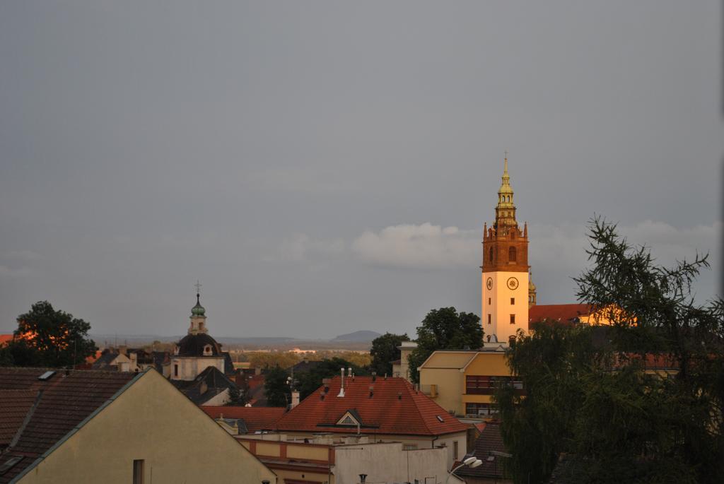 Penzion U Borovicku Литомержице Экстерьер фото