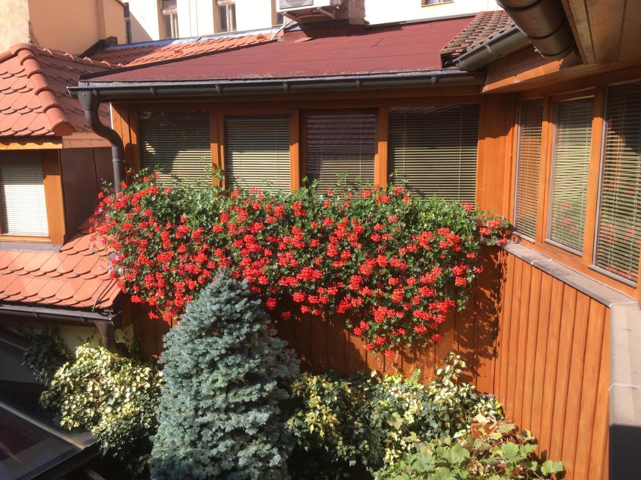 Penzion U Borovicku Литомержице Экстерьер фото